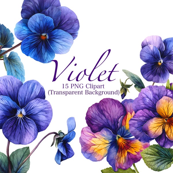 Birth Month Flower PNG Clipart Bundle | February Birth Flower Violet PNG | DIY Floral Sublimation | Birthday Gift Printable Purple Floral