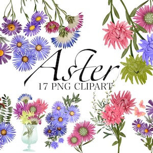 Aster Birth Flower Clipart PNG | September Flower PNG Printable | Floral border Digital Download | Floral Sublimation PNG | Commercial Use