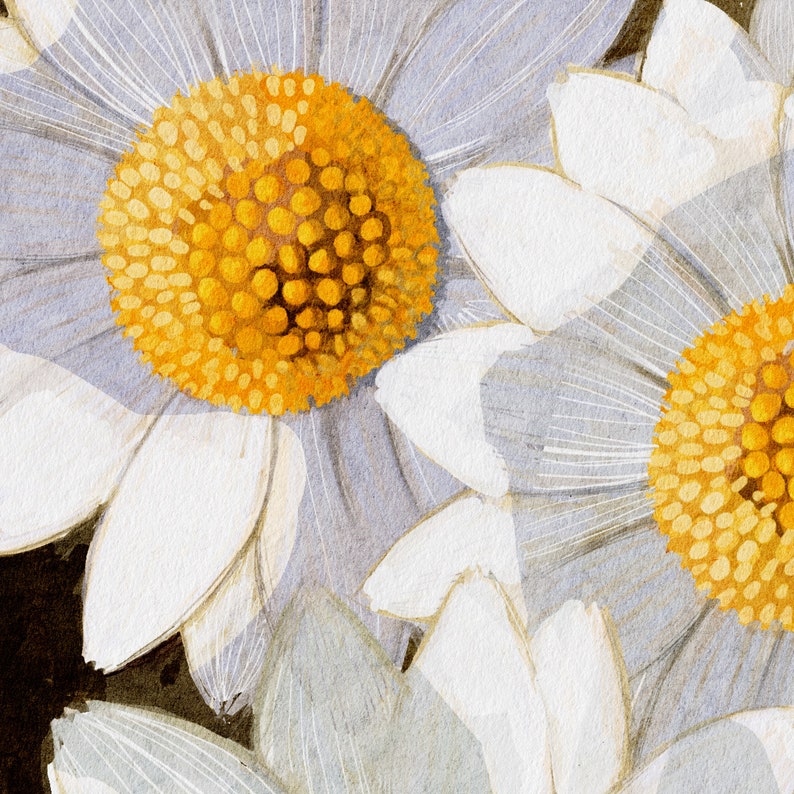 Daisy Birth Flower Wall Art Entryway Flower Prints Wall Decor Living