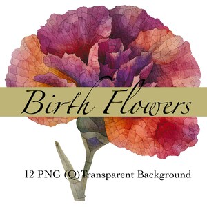 Birth Flower PNG Clipart Sublimation Printable Birth Month Flower Sticker PNG | Purple Floral Watercolor Bundle Downloadable Flower DIY Kit