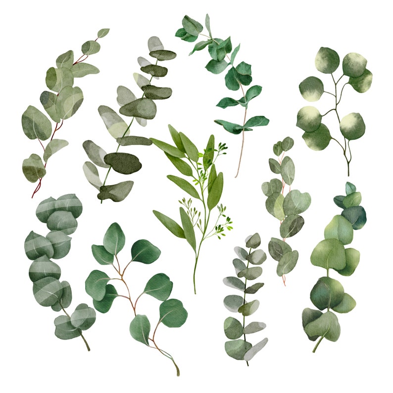 Eucalyptus Sage Green Clipart PNG You Are so Loved Nursery Etsy