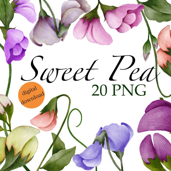 April Birth Month Flower PNG / Sweet Pea Clipart / Sweet Pea Print / DIY Flower / Printable Sweet Pea / April Flower Birthday Card