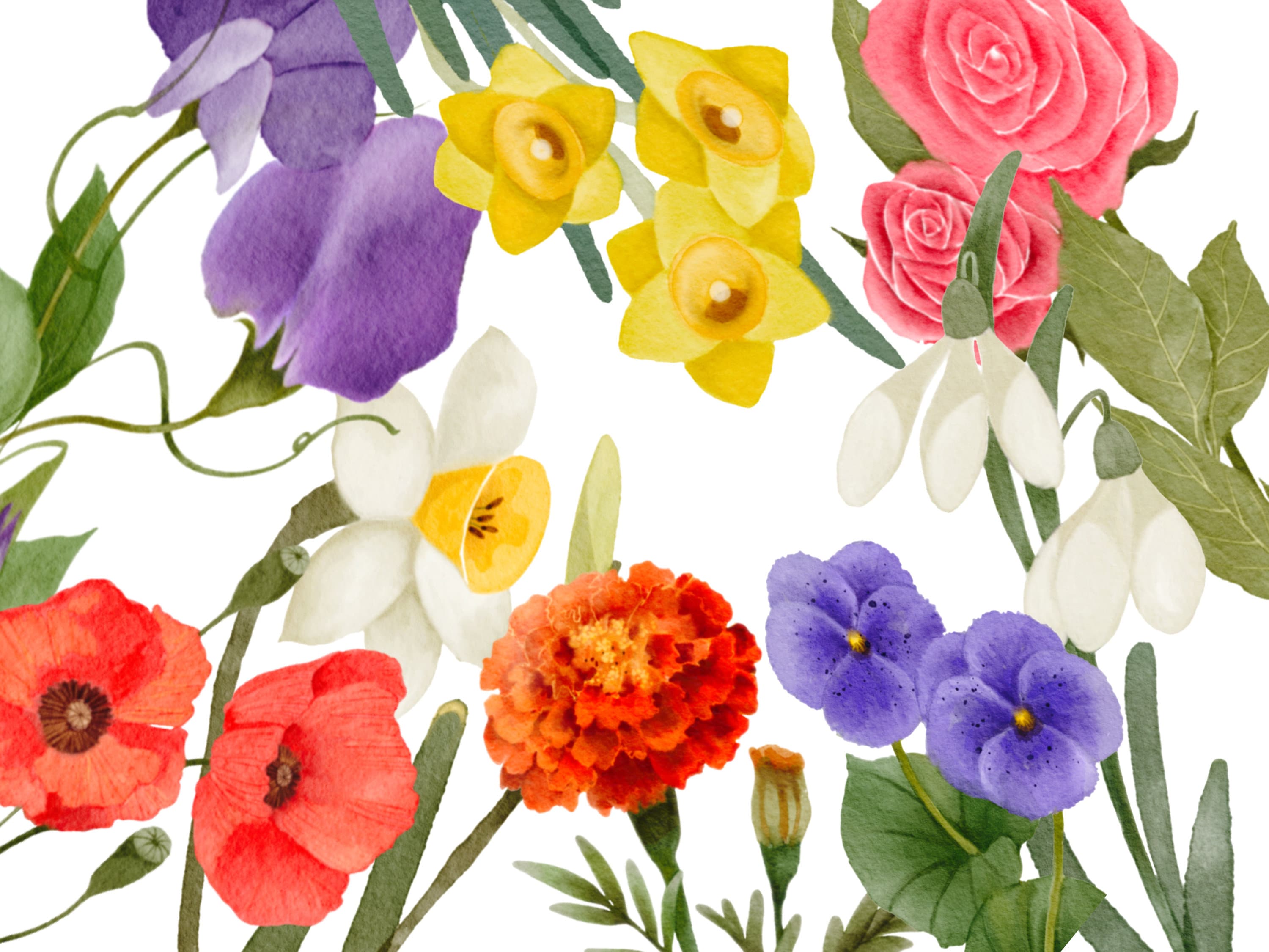 Birth Month Flower Chart Birth Flower Poster Floral Nursery Decor