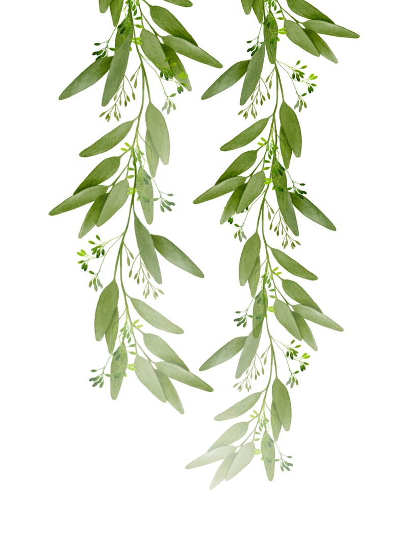 Eucalyptus Sage Green Clipart PNG You Are so Loved Nursery Etsy