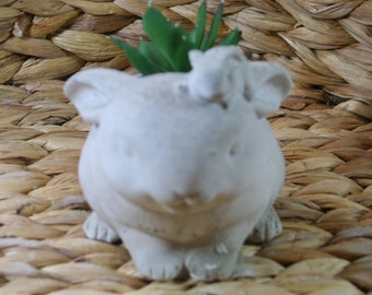 Bunny succulent planter, concrete pot, home, garden, porch, patio, deck decor