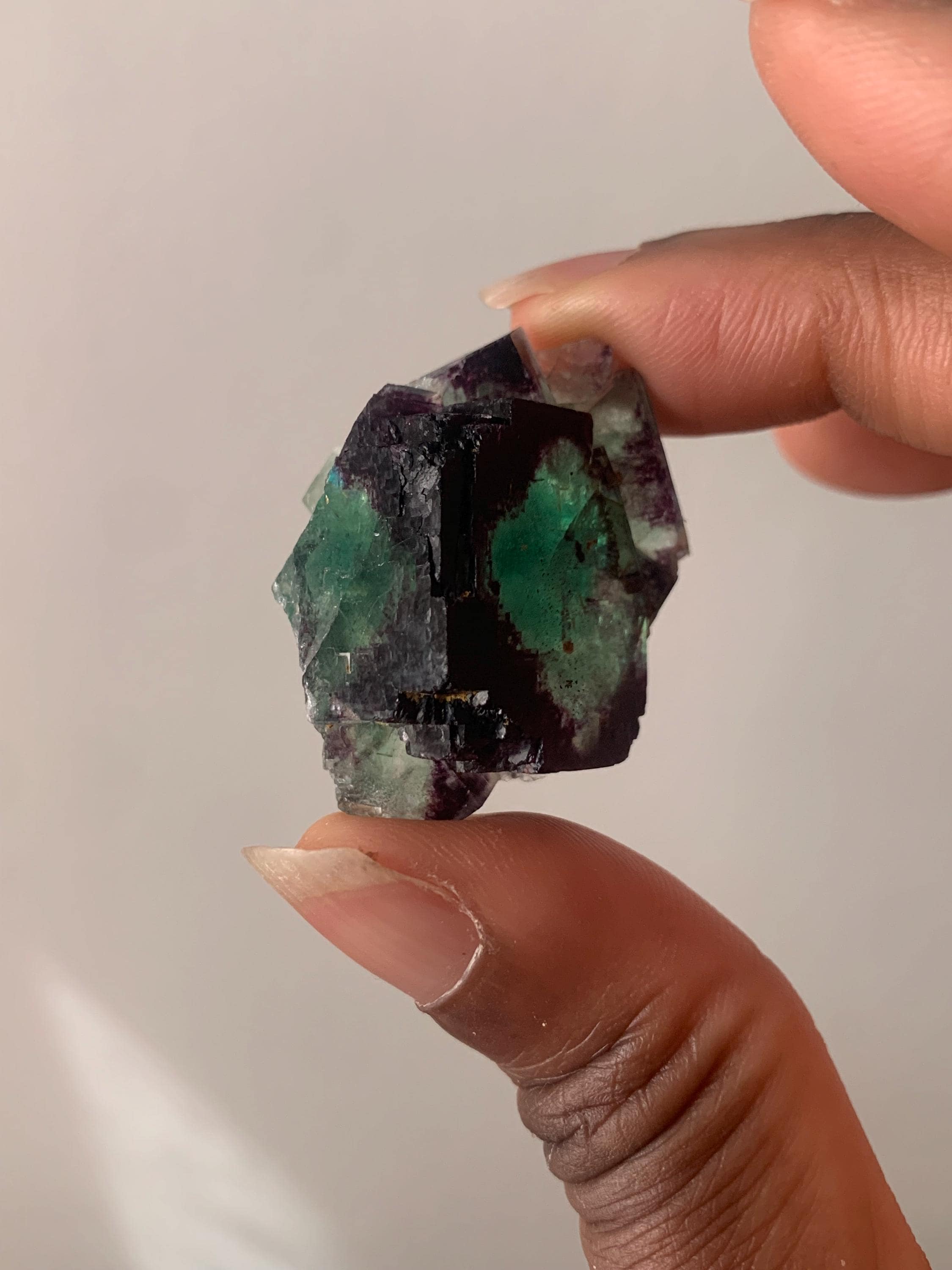 Alien eye fluorite - Etsy 日本