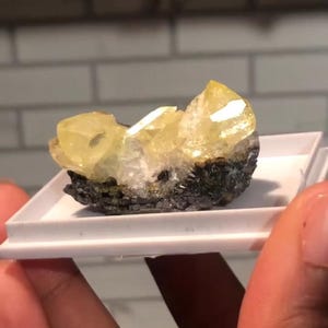 Puede incluir: Un grupo de cristales de calcita amarillos sobre una matriz gris oscura. Los cristales son translúcidos y tienen un brillo vítreo.
