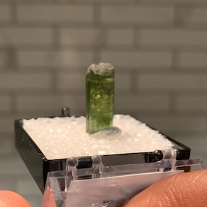 May include: A green tourmaline crystal specimen in a small, clear display box with white foam padding.