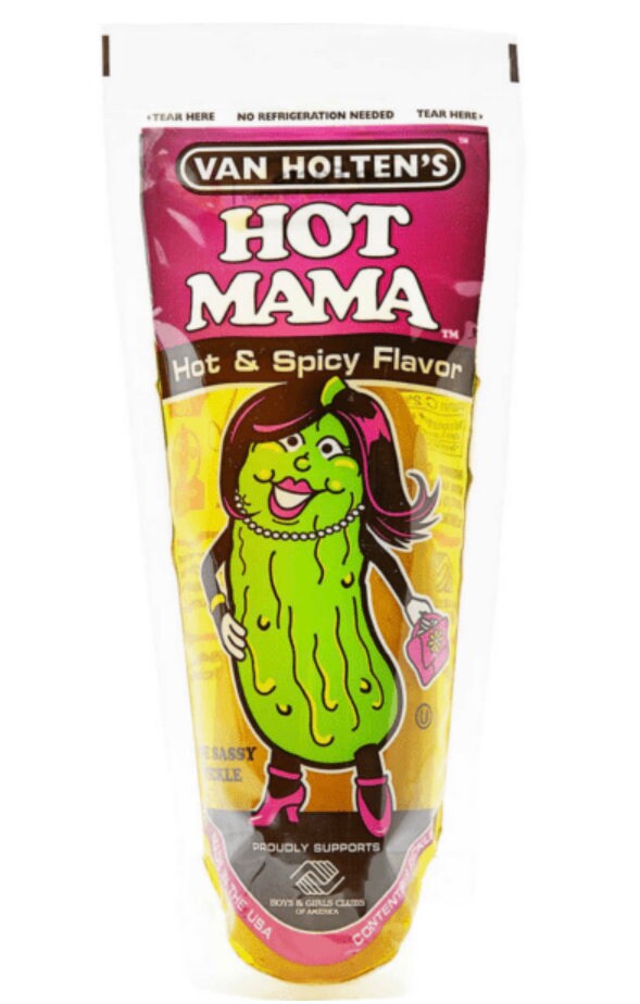 Van Holtens Pickles in a Pouch American Pickle Etsy