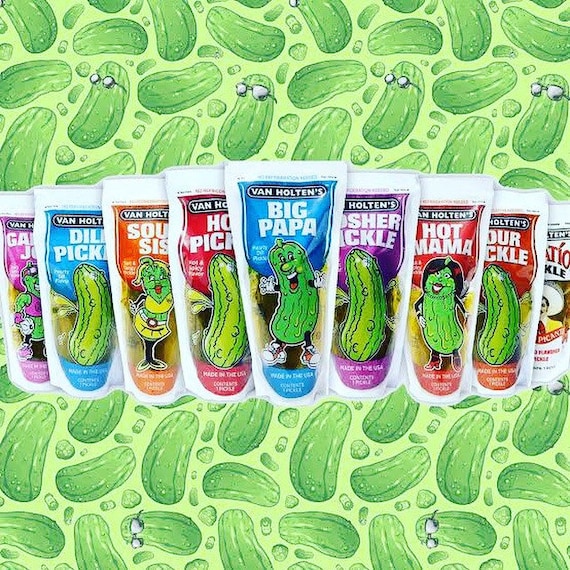 Van Holtens Pickles in a Pouch American Pickle Etsy UK