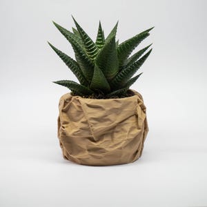 Fioriera succulenta intrecciata regalo di Natale, arredamento da scrivania accogliente, piccolo vaso per piante da regalare per le vacanze, Natale minimalista moderno 2024