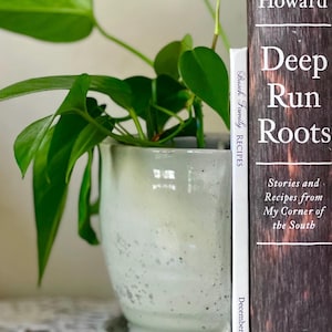 May include: A potted plant with bright green leaves sits in a speckled, light gray ceramic pot. To the right, a hardcover book titled "Deep Run Roots" by Vivian Howard is visible, along with a smaller book titled "Busch Family RECIPES".