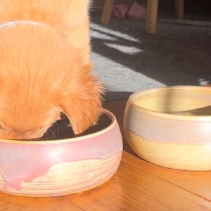 Peut inclure: Deux bols pour animaux de compagnie en céramique, un rose et un jaune, posés sur un sol en bois. Un chiot golden retriever mange dans le bol rose. Les bols ont une forme arrondie et une finition émaillée, pour nourriture ou eau.