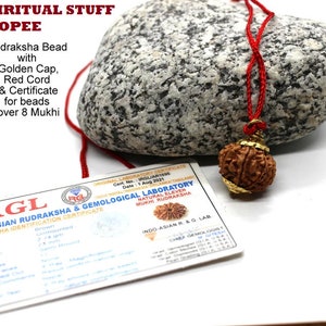 BENUTZERDEFINIERTE RUDRAKSHA HALSKETTE, benutzerdefinierte Rudraksha mukhi Perle, zertifizierte Rudraksha, 1 bis 14 mukhi, Gauri Shankar Rudraksha Perlenkette, 7 mukhi