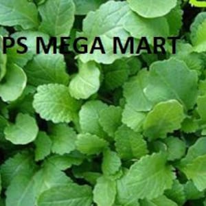 Könnte beinhalten: Nahaufnahme von frischem, leuchtend grünem Blattgemüse. Die Blätter haben eine strukturierte Oberfläche und sind dicht gepackt. Der Text "OPS MEGA MART" wird in schwarzen Buchstaben oben angezeigt.