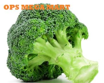 Semillas de brócoli – Paquete de 150 semillas (Hari Gobhi) Alta germinación/Fácil cultivo/Ideal para terrazas y huertos de cocina