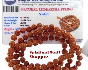 CERTIFICATO DI LABORATORIO 108+1 Perla di origine indiana Rudraksha Mala 5 mukhi 5 facce Lord Shivas Rosario Jaap Mala Yoga Preghiera Guarigione Meditazione Perline da 8 mm