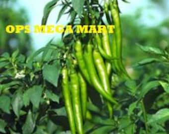 Semillas híbridas de chile Jwala (Hari Mirch) - Alto rendimiento / Alta germinación / Ideal para huertos domésticos