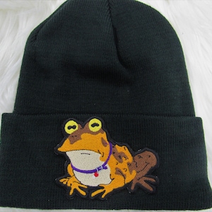 May include: A dark green knit beanie with a brown and orange frog wearing a purple collar embroidered on the front.