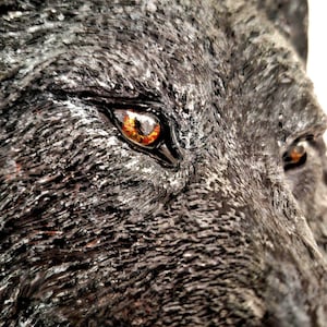Könnte beinhalten: Nahaufnahme einer Wolfsskulptur mit detaillierter Textur und realistischen Merkmalen. Das Fell des Wolfes ist dunkelgrau und schwarz, mit hellen Stellen. Die Augen sind bernsteinfarben, was dem Kunstwerk Tiefe verleiht.