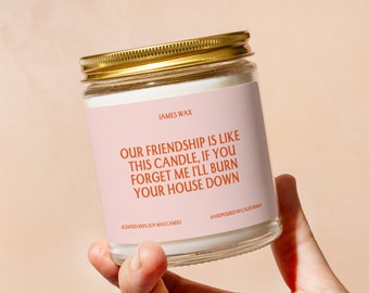Personalized Friendship Candle, Our Friendship Is Like This Candle, Funny Sassy Friendship, Appreciation, Funny Surprise Gift For Her, F084