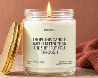 Funny Apology Candle, Apology Gift Idea, I'm Sorry Gift, Sorry Candle, Apology Gifts, Forgiveness Candle, Peace Offering Gift F033B