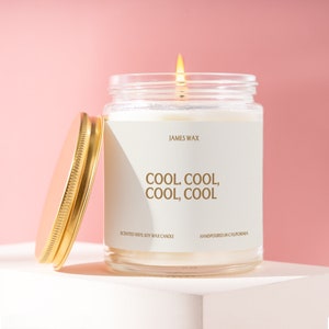 Cool. Cool Cool Cool Community & Abed Nadir's Signature Line Comedy Fans' Essential Quote Candle M010