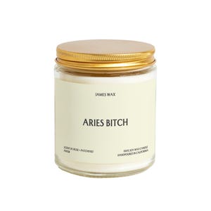 Aries Gift Aries Bitch Custom Candle March April Birthday Astrology Spiritual For Her Party Favor Care Package Friend Sign Keepsake F005B