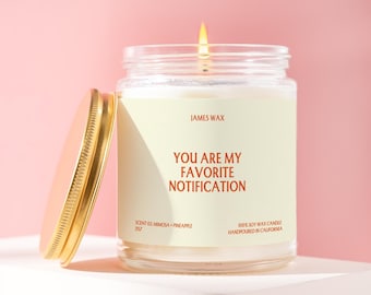 Long Distance Gift Funny Candle Favorite Notification Candle Valentine’s Day Gift for Her Him Anniversary Christmas J157