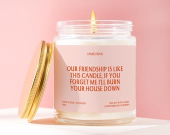 Best Friend Gift Our Friendship Is Like This Candle Funny Unique Handmade Appreciation Care Package Birthday Holiday Bestie F084