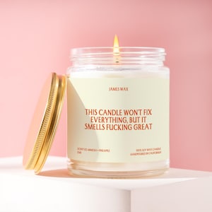 Friendship Gift Funny Candle Won’t Fix Everything But Smells Great Thinking of You Gift Encouragement Candle Funny Soy Candle J146