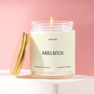 Custom Aries Gift Aries Bitch Candle Zodiac Fun Bold Personality Astrology Inspired Gift For Her Funny Surprise Gift F005B