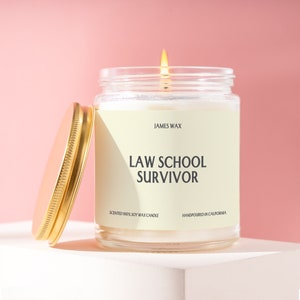 Custom Lawyer Gift Law School Survivor Candle Achievement Celebration Graduation Gift Funny Surprise Gift For Lawyers-to-be F049B