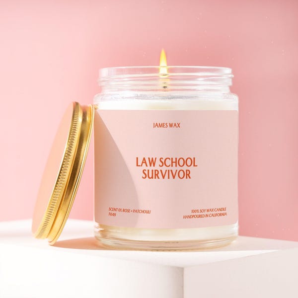 Future Lawyer Gift Law School Survivor Candle Funny Unique Handmade Graduation Gift Graduate School Student For Lawyers-to-be F049