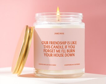 Personalized Friendship Candle, Our Friendship Is Like This Candle, Funny Sassy Friendship, Appreciation, Funny Surprise Gift For Her, F084