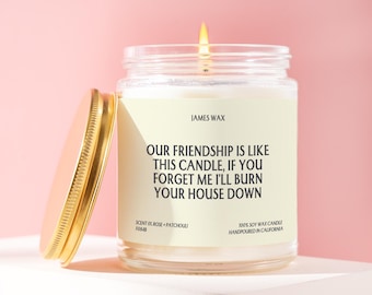 Best Friend Gift Candle Our Friendship Is Unhinged Funny Bestie Present Unique Appreciation Gift Birthday Holiday Care Package Idea F084B