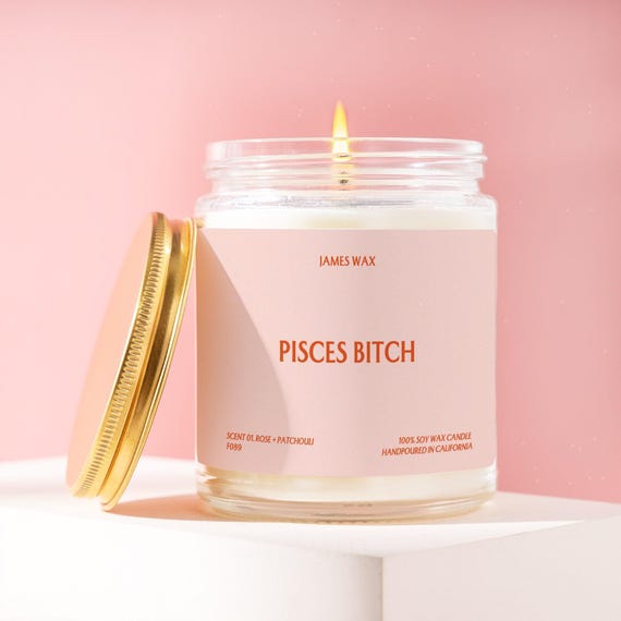 Pisces Gift Pisces Bitch Candle February March Birthday Astrology Spiritual For Her Party Favor Care Package Friend Star Sign F089