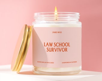 Personalized Lawyer Gift Law School Survivor Candle Achievement Celebration Graduation Gift Funny Surprise Gift For Lawyers-to-be F049