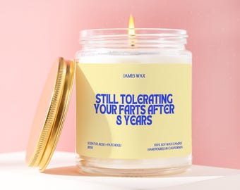 Bronze Anniversary Gift Candle Still Tolerating Your Farts Funny 8 Year Anniversary Present For Him Or Her Marriage Humor Decor JB116
