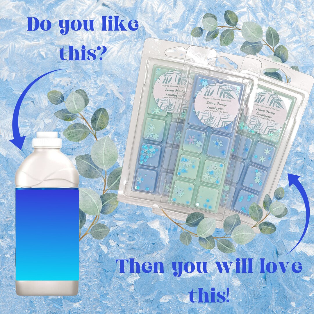 Lenny Frosted Eucalyptus Wax Melt Snap Bar Clamshell Etsy UK