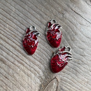 Human heart charm 25 x 14 mm