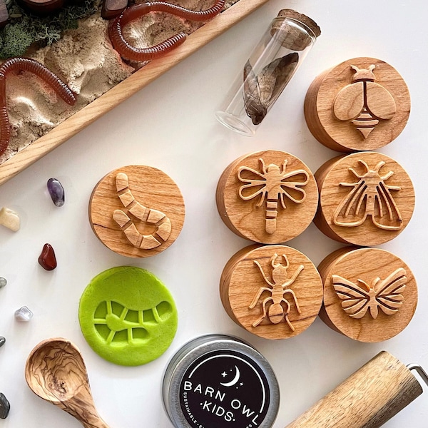 BUGS Cherry wood play dough STAMP SET Chunky playdough kids toddlers nature toy kit stampers homeschool lesson bee spring lifecycle insect