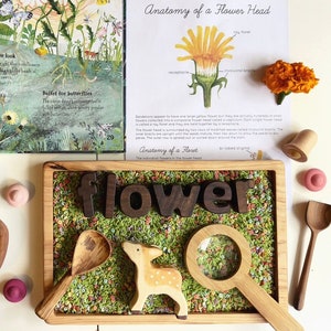 May include: A wooden tray with a green and white floral pattern, a wooden deer figurine, a wooden spoon, a magnifying glass, and the word "flower" spelled out in wooden letters.