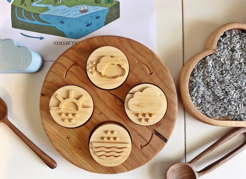 WATER CYCLE double sided play dough stamps maple wood 4 part homeschool lesson activity weather Montessori learning wooden toy lifecycle image 3