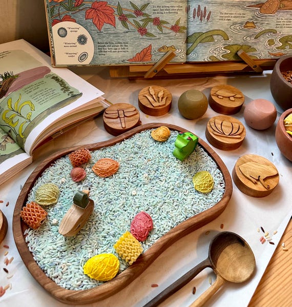Pond playscape sensory tray cherry wood tinker bin homeschool lesson play board plate lake toy Montessori spring summer setup activity