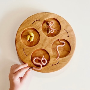 LIFE CYCLE tray cherry wood 4 or 5 part educational homeschool lesson activity Montessori learning board holder wooden toy lifecycle