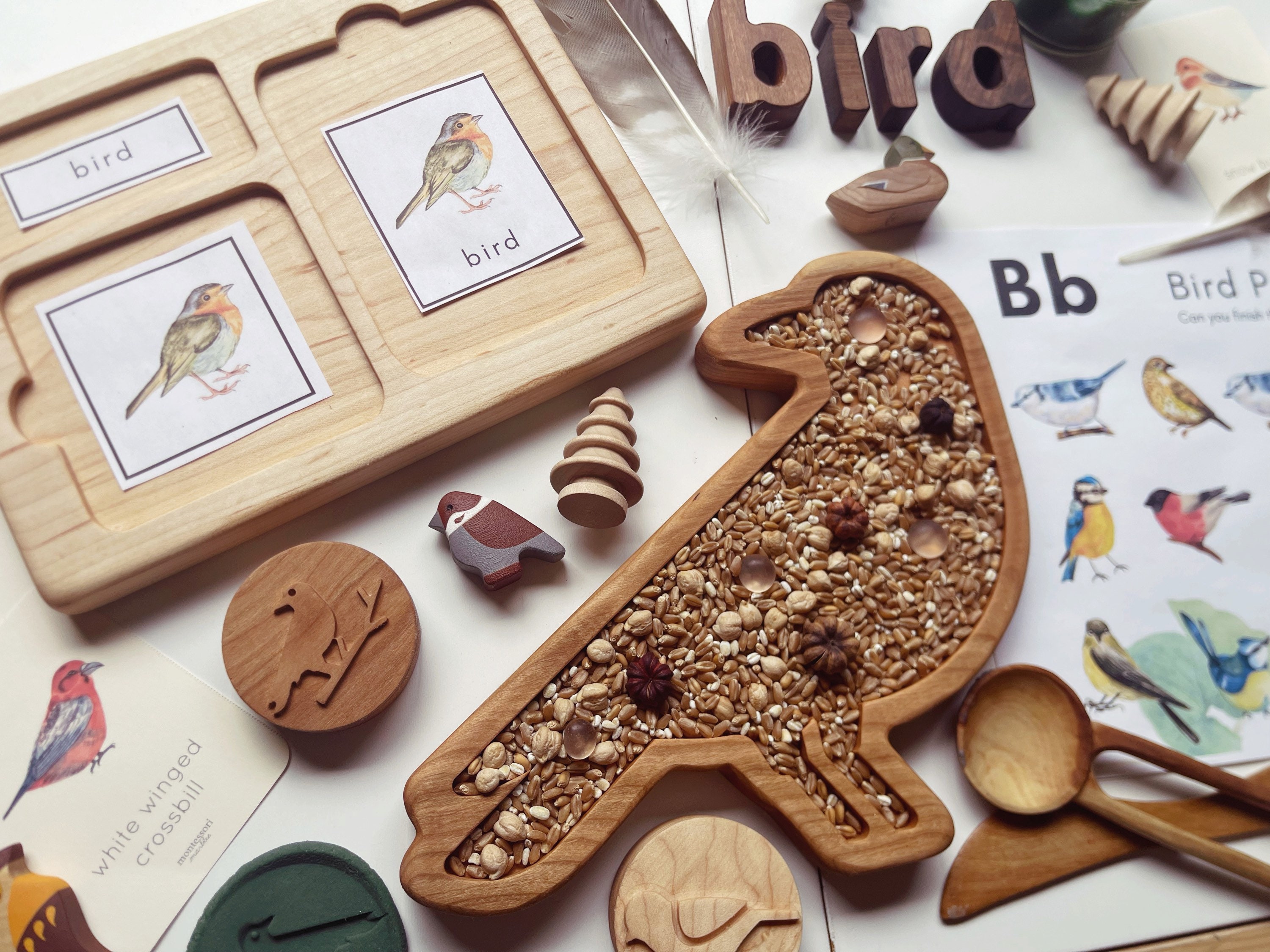 Montessori Inspired Nomenclature 3 Part Activity Card Tray Maple 