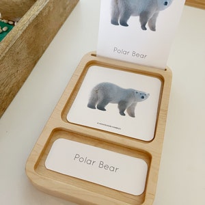 Montessori inspired nomenclature 3 card standing card tray maple wood educational homeschool lesson activity supplies lifecycle holder toy image 3