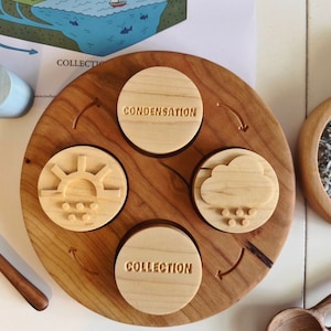 WATER CYCLE double sided play dough stamps maple wood 4 part homeschool lesson activity weather Montessori learning wooden toy lifecycle image 1