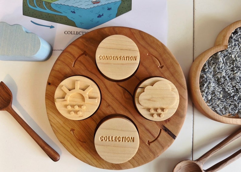 WATER CYCLE double sided play dough stamps maple wood 4 part homeschool lesson activity weather Montessori learning wooden toy lifecycle image 1